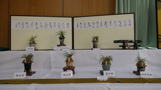 銘品展